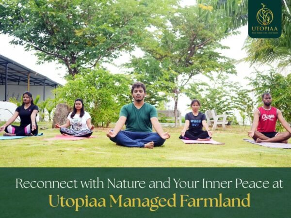 Reconnect with Nature and Your Inner Peace at Utopiaa Managed Farmlands